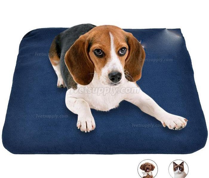 Veterinary Heating Pad Veterinary Warm Protection Equipment